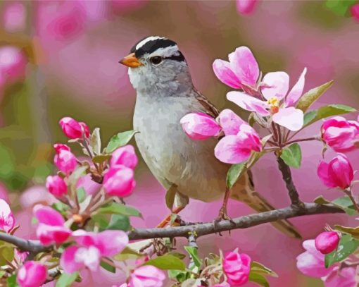 Sparrow Bird And Pink Flowers paint by number