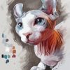 Sphynx Cat Animal paint by number