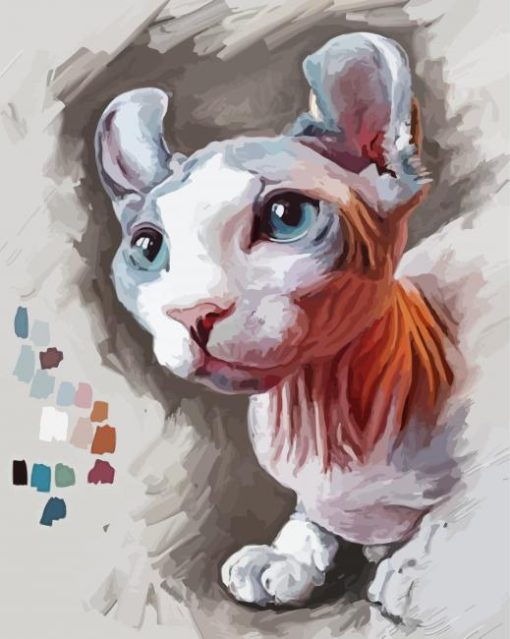 Sphynx Cat Animal paint by number