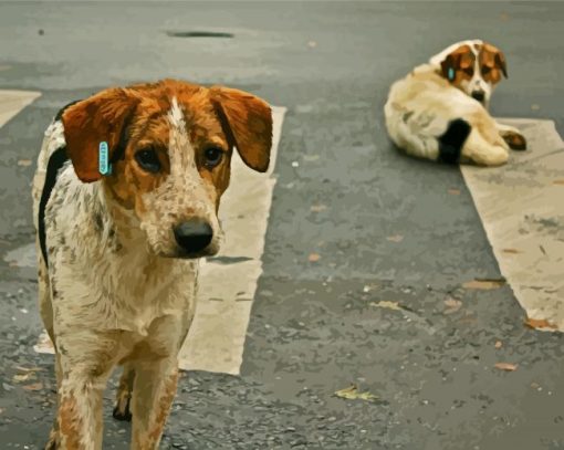 Street Dogs paint by numbers