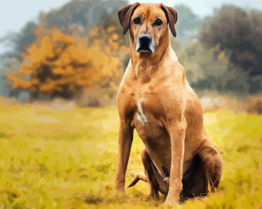 Strong Rhodesian Ridgeback Animal paint by number