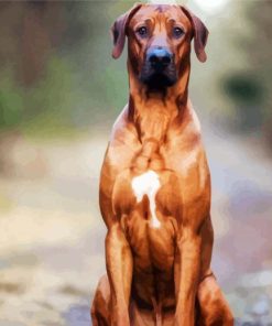 Strong Rhodesian Ridgeback paint by numbers