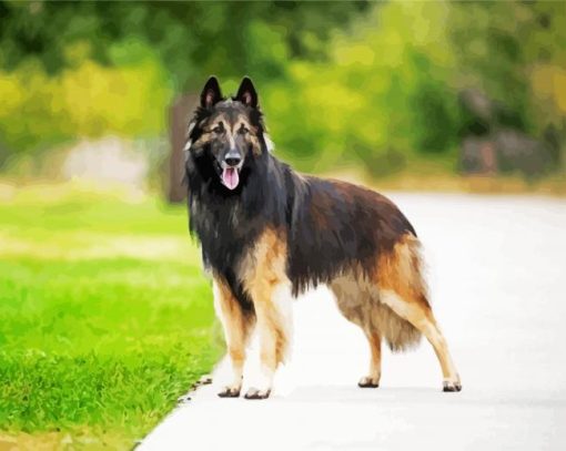 Tervuren Belgian ShepherdTervuren Belgian Shepherd paint by number