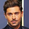 The American Actor Zac Efron paint by numbers