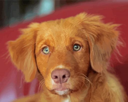 Toller Puppy paint by number