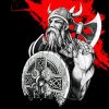 Viking Art Illustration paint by numbers