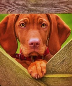 Vizsla Dog paint by number