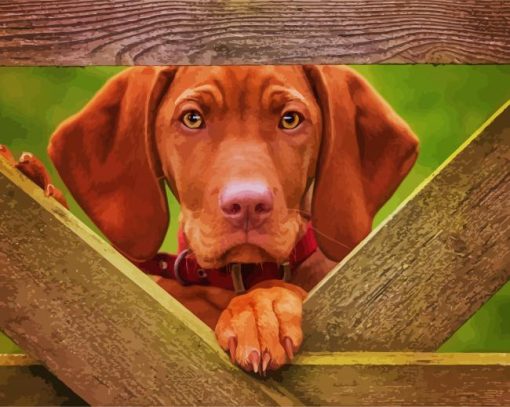 Vizsla Dog paint by number