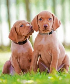 Vizsla Puppies Dogs paint by number