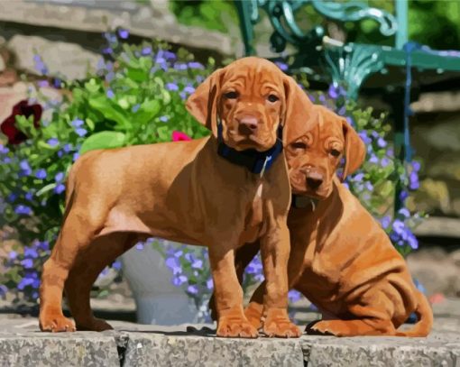 Vizsla Puppies paint by number