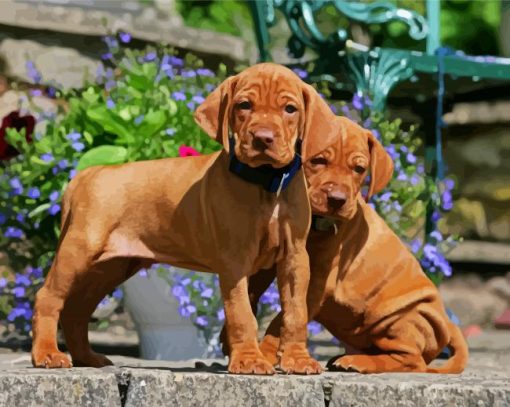 Vizsla Puppies paint by number