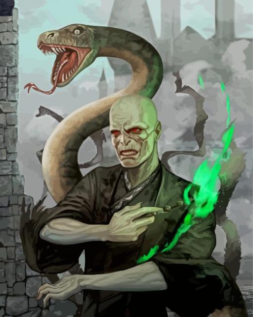 Voldemort And The Snake paint by numbers