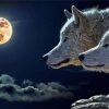 Wolves Full Moon paint by numbers