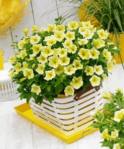 Yellow Petunia paint by numbers