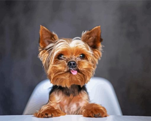 Yorkie Dog paint by number