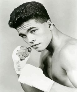 Arturo Gatti Black And White paint by number