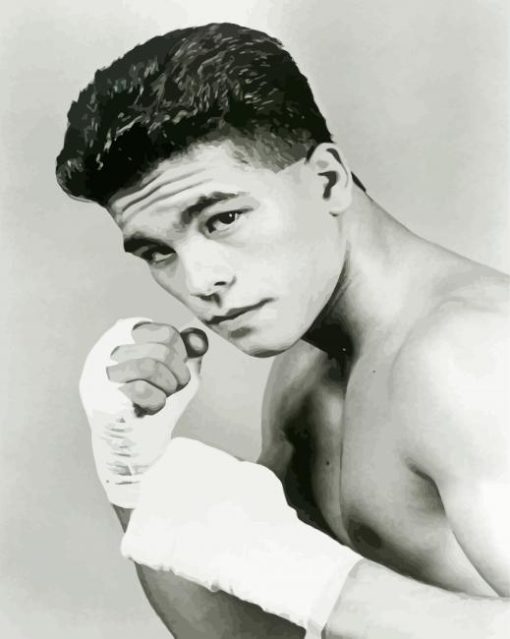 Arturo Gatti Black And White paint by number