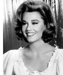 Black And White Jane Fonda paint by number