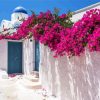 Bougainvillea Greece paint by number