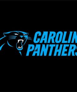 Carolina Panthers paint by number