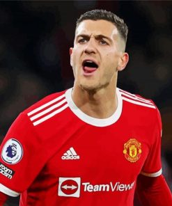 Diogo Dalot Man United paint by number