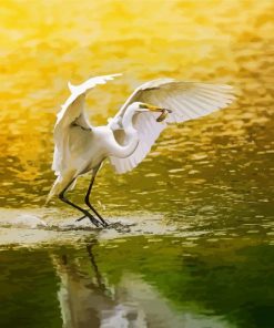 Egret Bird paint by numbers