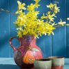 Forsythia Pottery Vase paint by number