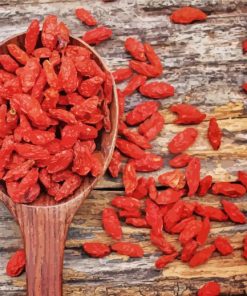 Goji Berries paint by number