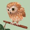 Harry Potter Pigwidgeon Owl paint by number