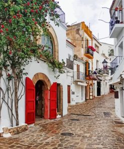 Ibiza Old Streets paint by number