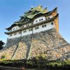 Japan Nagoya Castle paint by numbers