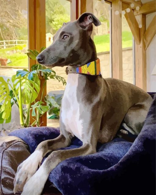 Lurcher Dog On Sofa paint by number