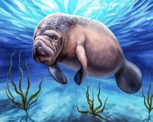 Manatees Animal paint by number