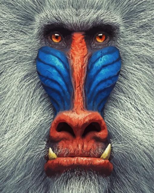 Mandrill Monkey paint by number