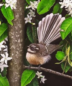 New Zealand Fantail Bird paint by number