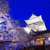 Odawara Castle Cherry Blossom paint by number