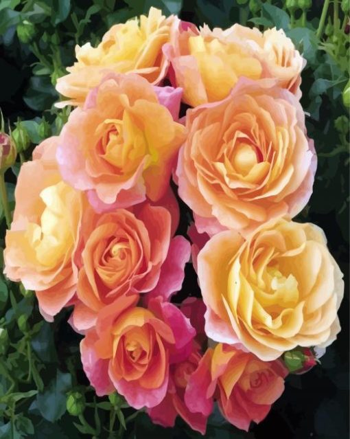 Orange Floribundas paint by number