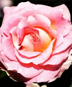 Pink Floribunda Rose paint by number