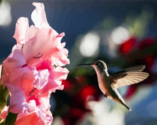 Pink Gladiola And HummingBird paint by number