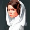 Princess Leia paint by number