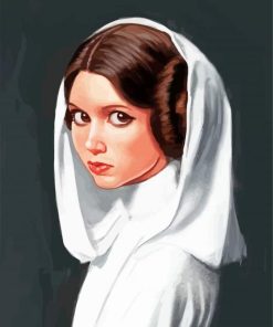 Princess Leia paint by number