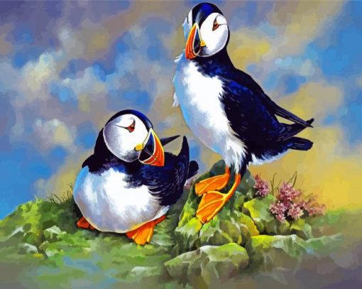 Puffin Birds paint by number