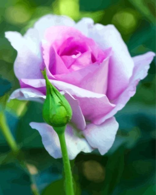 Purple Floribunda paint by number