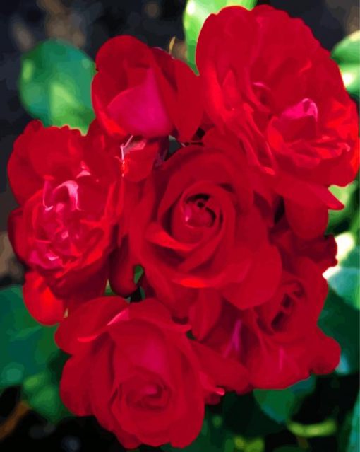 Red Floribunda paint by numbers