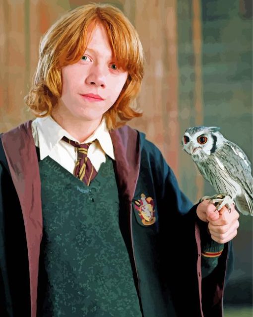 Ron Weasley And Pigwidgeon paint by number