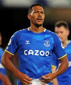 Salomón Rondón Football Player Everton paint by number