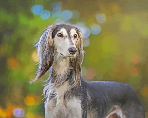 Saluki Dog paint by numbers