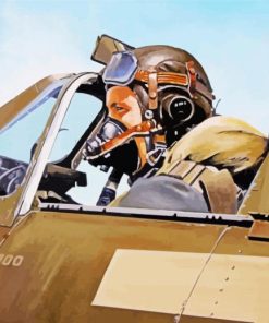 The Pilot Art paint by number