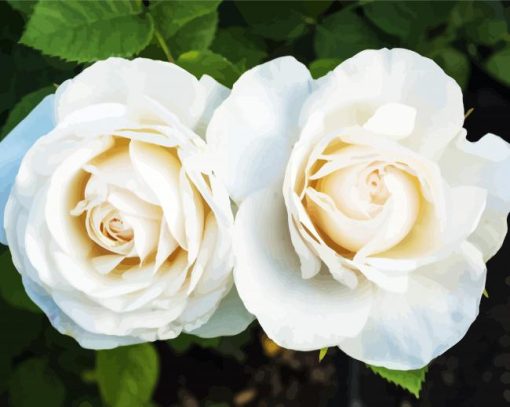 White Blooming Floribunda paint by numbers