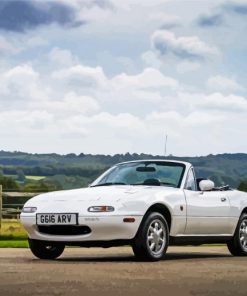 White Mazda MX5 Car paint by numbers